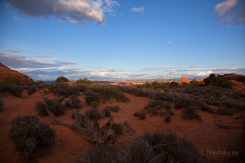 Abendstimmung auf dem SandDuneArch Trail